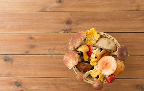自然，环境和收获的概念—篮子不同的食用蘑菇在木桌子。一篮不同的食用蘑菇放在木头上