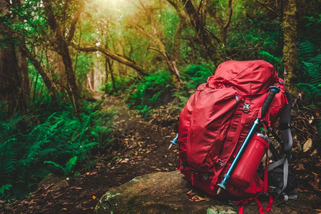红色背包和徒步旅行装备套在澳大利亚塔斯马尼亚热带雨林的岩石上。徒步旅行和露营冒险。