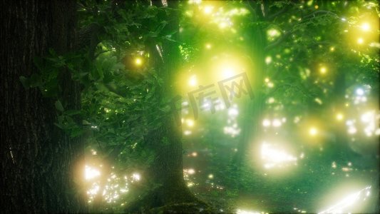 萤火虫在绿色的森林里飞翔。萤火虫在森林中飞翔