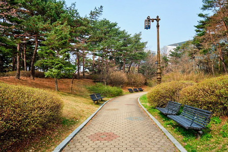 首尔建筑摄影照片_在韩国首尔的汝矣岛公园公共公园里，有长凳的小径散步。韩国首尔汝矣岛公园