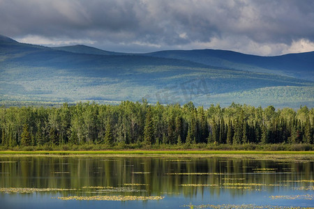 加拿大山湖边宁静的景色，平静的水中倒映着岩石。