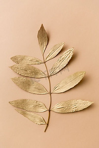 自然、秋天和植物概念—在米色背景的金灰树叶子金色灰树叶在米色背景