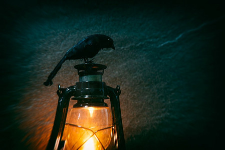 乌鸦坐在老灯笼灯在晚上和黑暗背景与模糊过滤器，选择性焦点