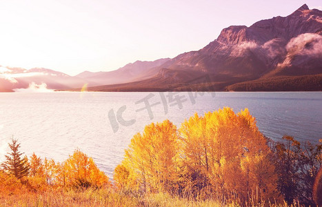 美丽的秋天在加拿大山区。秋季背景。