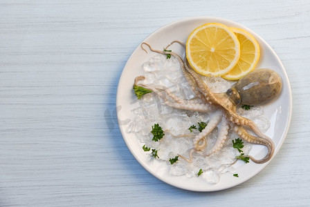 海鲜鱿鱼板海洋美食新鲜章鱼在冰的柠檬欧芹在白色板桌子背景顶视图