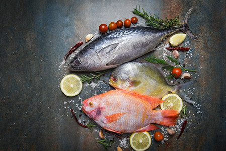 鲜鱼配香草、迷迭香和柠檬大蒜、西红柿作为熟食/生鱼、红罗非鱼、金枪鱼和鳕鱼，底色为深色盘子