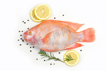 鲜鱼配香草、迷迭香和柠檬/生鱼红罗非鱼，白底分离