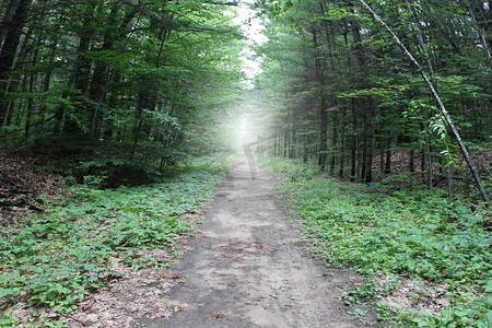 未知摄影照片_穿过树林的小路，作为森林中的徒步旅行小径，以及林地小巷中的小路，代表着未来和对未知的希望或恐惧。