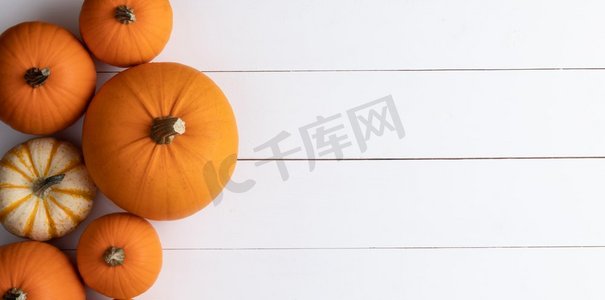 许多橙色南瓜在白色木质背景上，带有复制空间，秋收，万圣节或感恩节的概念。木质背景上的南瓜