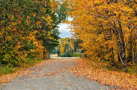 车道在秋天在缅因州，美国。