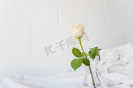 白玫瑰是玻璃花瓶桌子