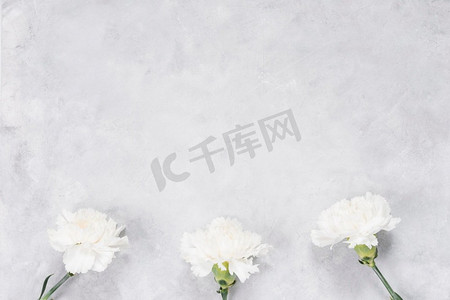 白色康乃馨摄影照片_白色康乃馨花灰色桌子