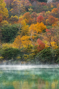 日本旅游易拉宝摄影照片_秋天森林温泉湖在日本东北青森Hakkoda日本