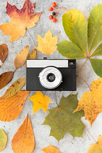 摄影和季节概念-胶片相机和灰色石材背景下的秋叶。胶片摄影机和灰色石头上的秋叶
