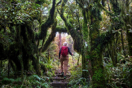 活性摄影照片_在新西兰徒步旅行和徒步旅行旅行和冒险概念