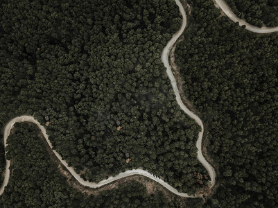 道路绿色摄影照片_鸟瞰蜿蜒的道路绿色热带树木
