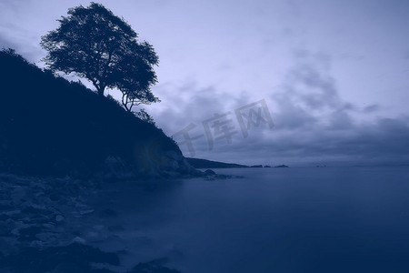 夜雾景观自然/自然秋雾蓝色夜生活景观