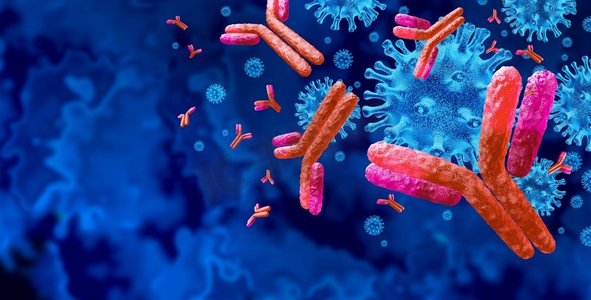 抗体和抗体背景和免疫球蛋白概念作为t细胞攻击传染性病毒细胞和病原体作为3D插图。