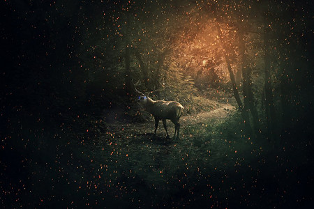 威严的鹿，长着蓝色发光的眼睛和长角，用许多萤火虫和闪闪发光的东西守卫着黑暗的森林。神秘的野生场景屏幕保护程序。