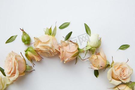 心脏图案摄影照片_框架与玫瑰和叶子在白色背景。玫瑰和叶子