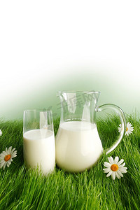 一杯牛奶和罐子在新鲜的草草地与甘菊