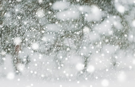 下雪圣诞摄影照片_冬季假期，降水，圣诞节，季节和天气概念—下雪或降雪。下雪或下雪