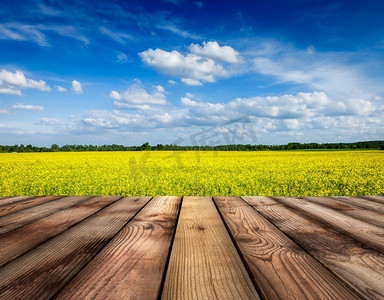 春天夏天背景—黄色油菜籽领域与蓝天和木板地板在前面。黄色油菜籽领域与天空，木板地板