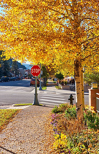 在美国科罗拉多州秋天的阿斯彭镇的街道。 
