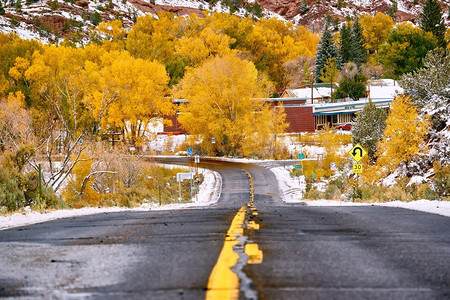 潮湿摄影照片_季节变化，第一场雪和秋天的树木沿着潮湿的公路在科罗拉多州，美国。 