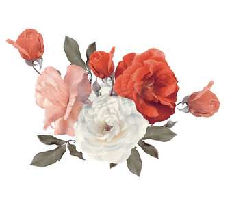 水彩玫瑰摄影照片_玫瑰水彩隔绝在白色背景。玫瑰水彩在白色背景