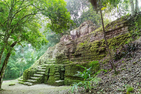 蒂卡尔。中美洲危地马拉蒂卡尔国家公园著名的古代玛雅寺庙