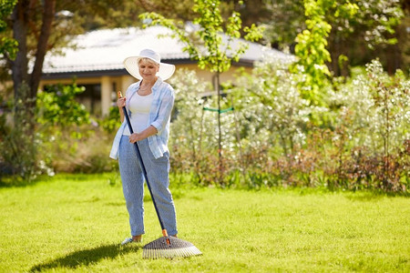园艺和人的概念—愉快的高级妇女与草坪耙工作在夏季花园。高级妇女与草坪耙工作在花园