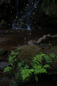 令人惊叹的瀑布景观在黄昏与萤火虫发光周围的树叶