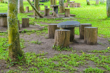 公园里的树桩椅，原木制成的花园家具