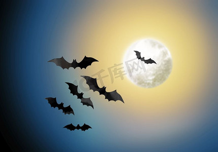 万圣节和可怕的概念—黑色蝙蝠飞行在月光在夜空背景在夜空背景的黑色蝙蝠