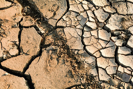 质地顺滑摄影照片_地裂缝背景/土壤质地与季节干泥干旱土地