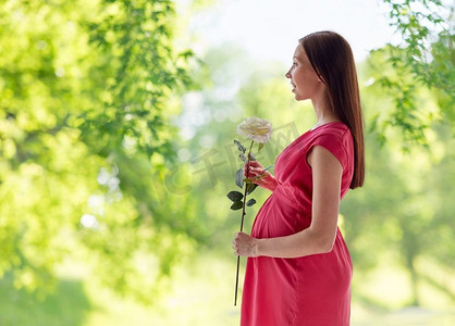 蒂芙尼玫瑰金戒指grp07019摄影照片_怀孕、花朵、玫瑰、母体