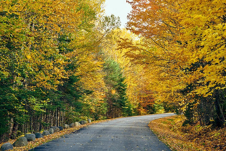 缅因州摄影照片_美国缅因州的秋天之路。