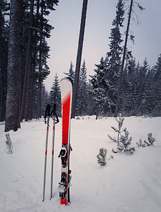 对滑雪板在雪包围冷杉森林。在冬天山背景的红滑雪设备。假日度假和滑雪运动概念。