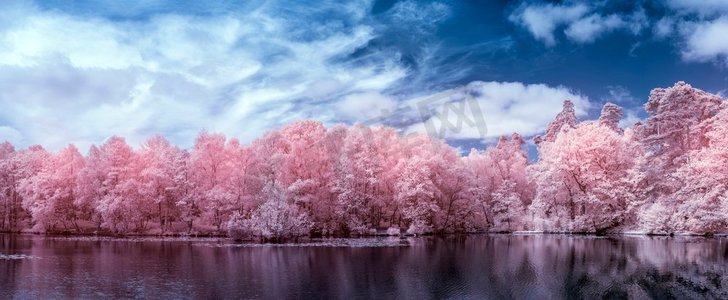 美丽的超现实假色红外线湖和林地夏季风景在英国农村