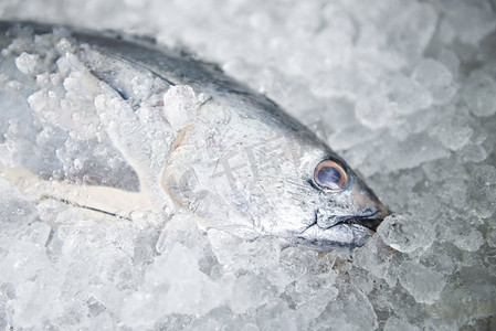 在冰背景的生鱼海鲜，长尾金枪鱼，东部小金枪鱼/新鲜的鱼在市场