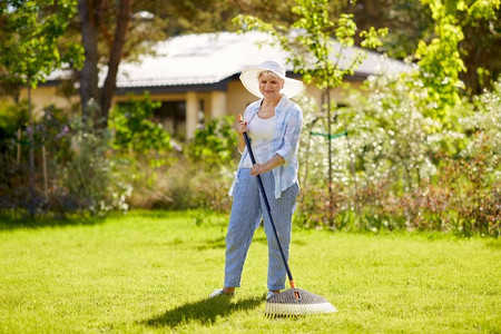 园艺和人的概念—愉快的高级妇女与草坪耙工作在夏季花园。高级妇女与草坪耙工作在花园