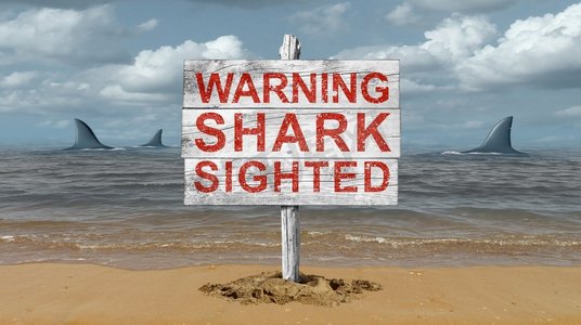鲨鱼警告标志和提防鲨鱼标志在海滩上与3D插图元素。