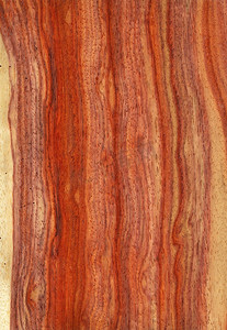 自然木纹理背景。塔库拉木