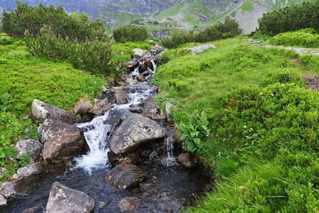 山里有流水的小溪