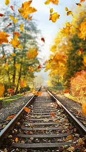 五彩缤纷，秋天的落叶落在铁轨上