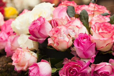 米色和粉色玫瑰为背景，图案为婚礼设计。玫瑰色背景图案
