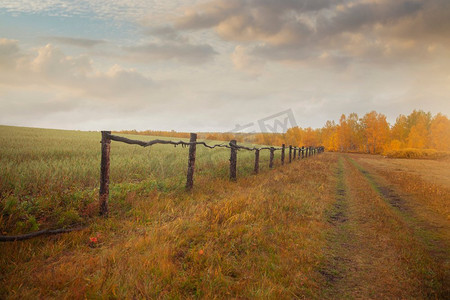 伊尔库茨克的田野和森林。俄罗斯风景