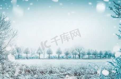 冬天天与冻结的树和雪的国家风景，户外自然背景