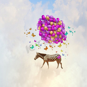 斑马气球摄影照片_会飞的斑马。浮空器上斑马在天空中飞行的奇幻形象